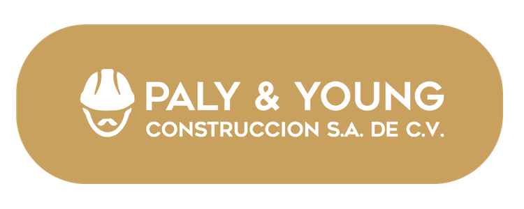 Paly & Young Construcción